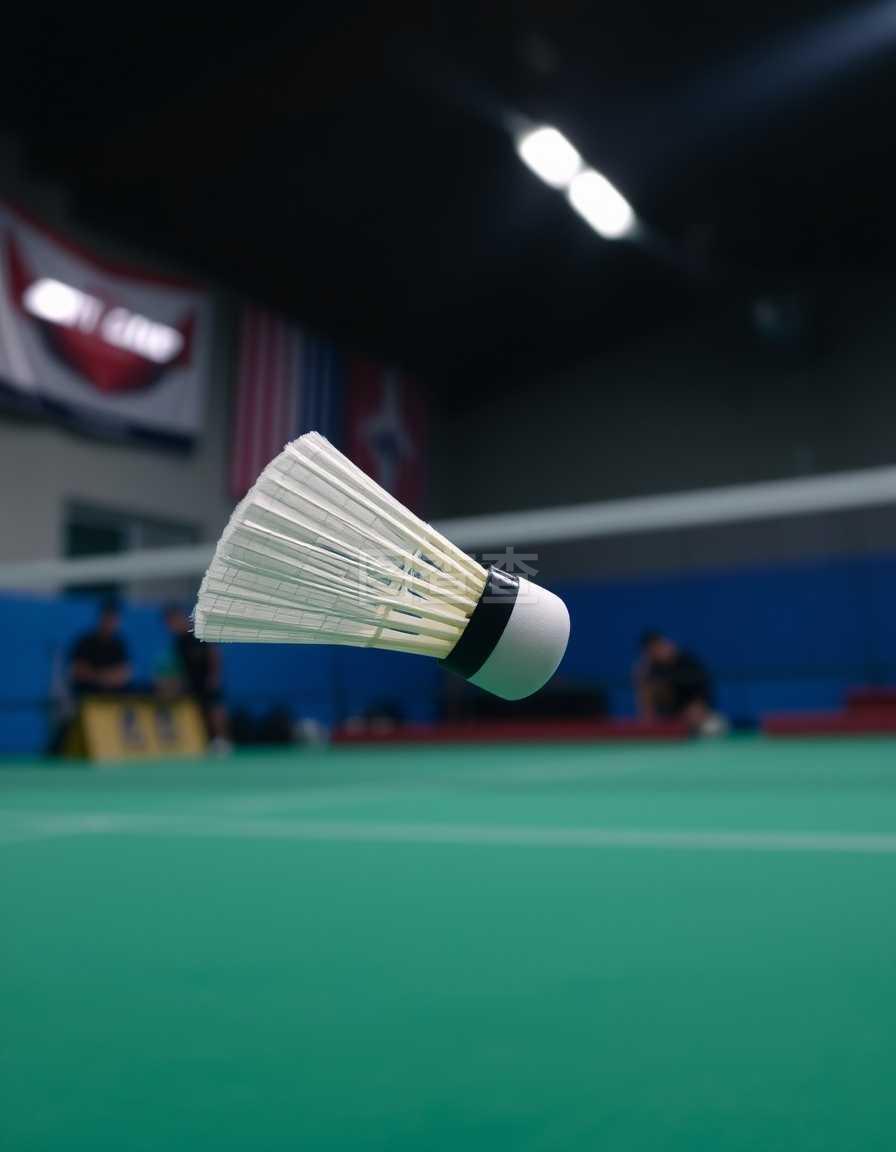 能够赢下的 能够赢下的